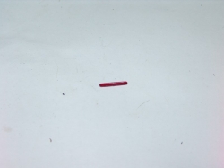 Ford Mustang GT, доп. стоп сигнал