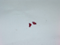 Porsche Carrera GT, противотуманки, задние