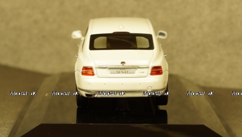 AURUS SENAT Limousine 2018, 412313, DiP Models 1:43