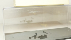 Бокс 26х10х10см, SSM