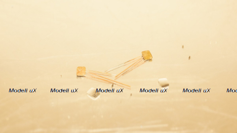 Кит зеркала №1, 1:43