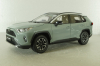 Toyota RAV4 2019, grey, RA801-B0, Paudi 1:18
