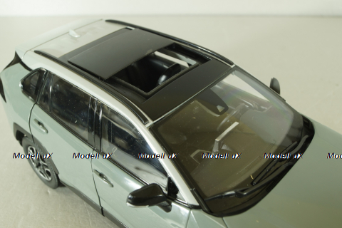 Toyota RAV4 2019, grey, RA801-B0, Paudi 1:18