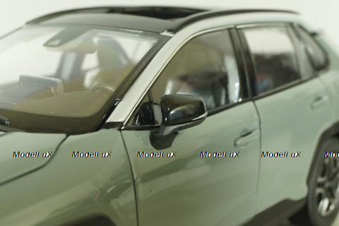 Toyota RAV4 2019, grey, RA801-B0, Paudi 1:18