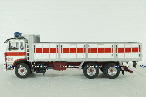 Renault DG290 Truck Cassone Ribaltabile Movimento Terra Megido Transports 3-Assi 1988, Camiones y Autobuses, Salvat 1:43