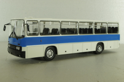 Икарус-256, Наши Автобусы №31