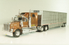 Western Star 4900 with semi-trailer 1990, brown/grey, American trucks, France №85, Altaya 1:43