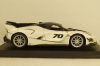 Ferrari FXX-K Evoluzione #70 2018, Bburago 1:18