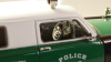 Ford Courier NYC Police 1953, GC-NYPD-002, Goldvarg 1:43