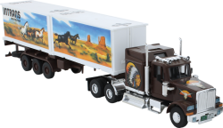 Сборная модель Western Star Intrans Container MS25, 0107-25, Monti System 1:48